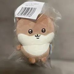 ナガノキャラクターズ D賞 カワウソ くじ マスコット - メルカリ