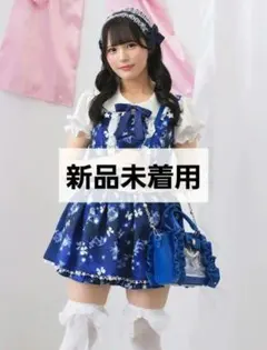 Ank Rouge Dreamy constellation JSK 星座柄