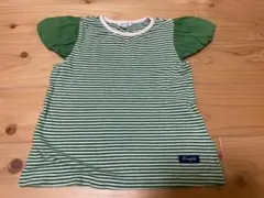 セラフ ボーダートップス 100のサムネイル
