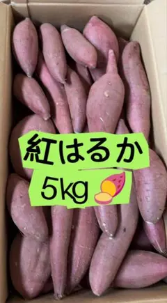 紅はるか5kg サツマイモ 野菜 訳あり 家庭用のサムネイル