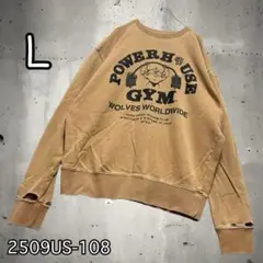 希少　DARCSPORT POWERHOUSE GYM トレーナー　L