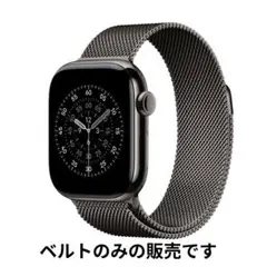 Apple Watch純正ミラネーゼループ　外箱付き