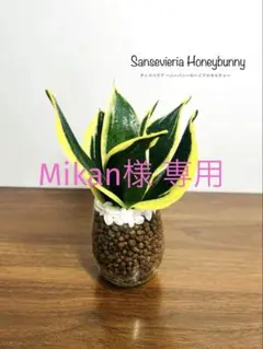 Mikan様 リクエスト 2点 まとめ商品