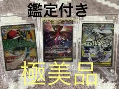 ピジョットex SAR ＋進化ラインARセット - メルカリ