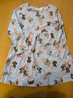 Item thumbnail for item 4e5e6d2b-558b-4981-9b74-b9904dfa710f