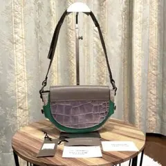 ✨希少✨美品✨フランチェスコビアジア ショルダーバッグ レザー キャンバス 緑色のサムネイル