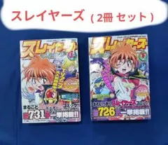 2025年最新】スレイヤーズの人気アイテム - メルカリ