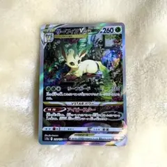 2026年最新】リーフィアvstar sarの人気アイテム - メルカリ