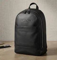 2026年最新】COACH メンズ リュック・バックパックの人気アイテム