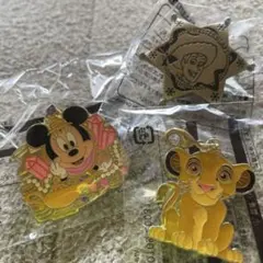 ディズニー チャーム ピンバッジ セット