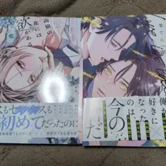 19歳の夫には秘密がある 全巻セット ティーンズラブ TL漫画 TLコミック