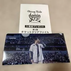 Stray Kids oddinary リノ トレカ 店舗特典 セット | Mercari