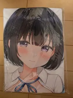 閃乱カグラ　牛丸アートフレーム 閃乱カグラ 牛丸アートフレーム - メルカリ