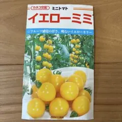 カネコ交配 ミニトマト イエローミミ 種子 - メルカリ