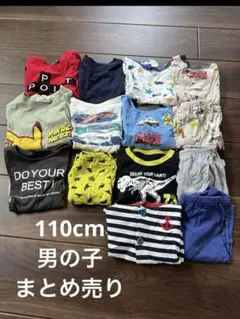110cm 夏服まとめ売り　Tシャツ　ハーフパンツ