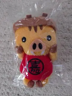 上高地限定 カッパ かっぱ 河童 ぬいぐるみマスコット かえるの