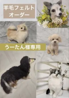 羊毛フェルトオーダー　うーたん様専用　チワワ