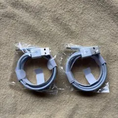 USB-A to USB-C 充電ケーブル 2本セット グレー