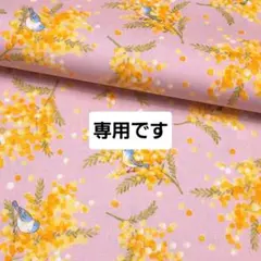 専用　　ぴぃこ様