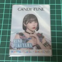 Tatsuya様 リクエスト 2点 まとめ商品