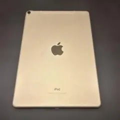 【ジャンク】iPad pro 10.5インチ 256GB Apple 本体のみ