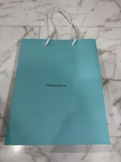 Tiffany & Co. ショップ袋 ショッパーのサムネイル