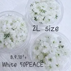 koisanman510　☆プロフ必読☆様 リクエスト 2点 まとめ商品