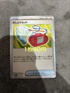 むしとりセット (在庫5)