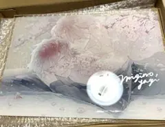 直筆サイン入 A4アクリルプレート 明日もきみに会いに行く 熊雪ふる