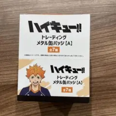 ハイキュー!! 推し旅 トレーディング乗車券風カード 1BOX 京都限定