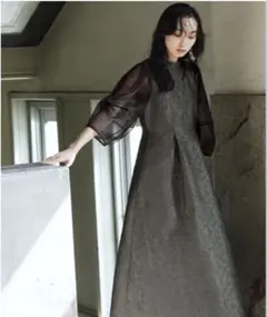 RUIRUE BOUTIQUE シアーランタンスリーブふくれジャカードドレス　S