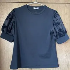 tシャツ 花 新品 シマムラ