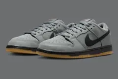 年末年始お値下げ！Nike SB Dunk Low Cool GreyBlack