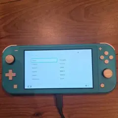 Nintendo Switch Lite ターコイズ 箱 充電器付き
