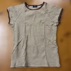 ストライプ柄 半袖Tシャツ ブラウンベージュ