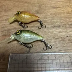 Item thumbnail for item ff88e97c-efbd-45f3-92eb-44a95d1cce33