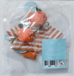 Stray Kids skzoo plush outfit citrus