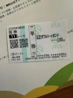 ダブルハートボンド　三宮ステークス　現地的中馬券　期限切れ　競馬　JRA