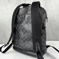 COACH F37610 ヘザーグレー リュックサック - メルカリ