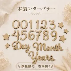 木製 レターバナー 月齢フォト ニューボーンフォト