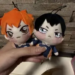 ハイキュー ちょぴぬいぷち 日向と影山