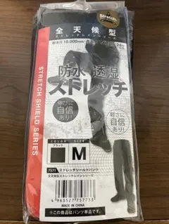 Item thumbnail for item c3b91b63-4e77-4b45-9c79-00ce82804a75