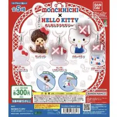 モンチッチ×ハローキティ めじるしアクセサリー ガチャ 3つ売り