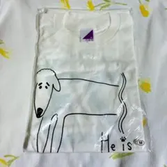 Item thumbnail for item 2042381a-ec91-423c-8666-c06576f79fa5