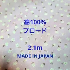 Item thumbnail for item 7da42c35-57e0-471e-9f99-58e46c1e4c80