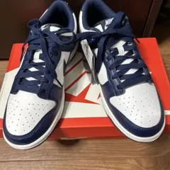 未使用 Nike Dunk Low Retro