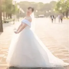 ストラップレス Aラインウェディングドレス ロールカラー ヴェール付き