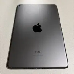 iPad mini 5 64GB ジャンク品扱い