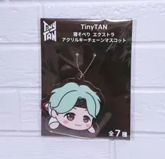 BTS TinyTAN 寝そべり エクストラアクリルキーチェーンマスコット
