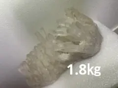 特大 水晶クラスター 約25cm 天然石 原石 パワーストーン インテリア 置物